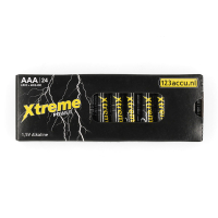 123tintaPilas Alcalinas Xtreme Power AAA - LR03 - MN2400 | 24 unds