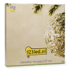 123tinta Estrella colgante de 36 cm | Blanco extra cálido y cálido | 300 luces | Negro LDR07274 - 5