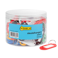 123tinta llaveros surtidos (100 unidades) 301101