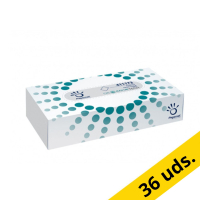 123tinta pañuelos limpios de 2 capas | Pack 36 x 100 hojas SPA00193