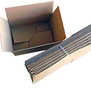 Caja automontable A4 310x220x150 mm  (10 unidades)