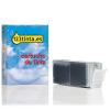 Canon PGI-580PGBK XXL cartucho de tinta pigmentada foto negro (marca 123tinta)