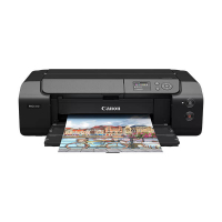 SEGUNDA OPORTUNIDAD - Canon imagePROGRAF PRO-310 Impresora de inyección de tinta A3+ con WiFi 848728