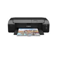 Canon imagePROGRAF PRO-310 Impresora de inyección de tinta A3+ con WiFi 426593