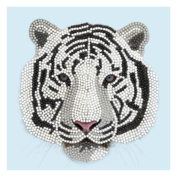 Crystal Art Tarjeta de pintura de diamante Crystal Art Cabeza de tigre blanco 18 x 18 cm CCK-A77 400917 - 1