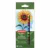 Derwent Academy Barras pastel suaves mezclables (12 unidades) 209807 - 1
