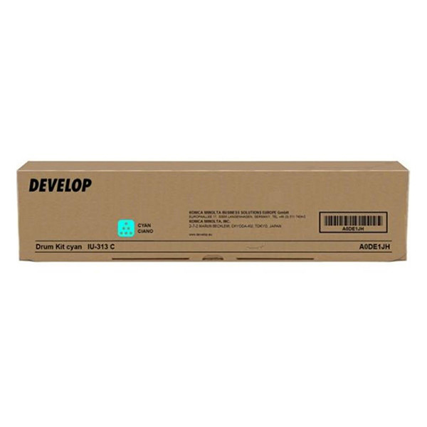 Develop TN313C (A06V4D4) toner cian (original)