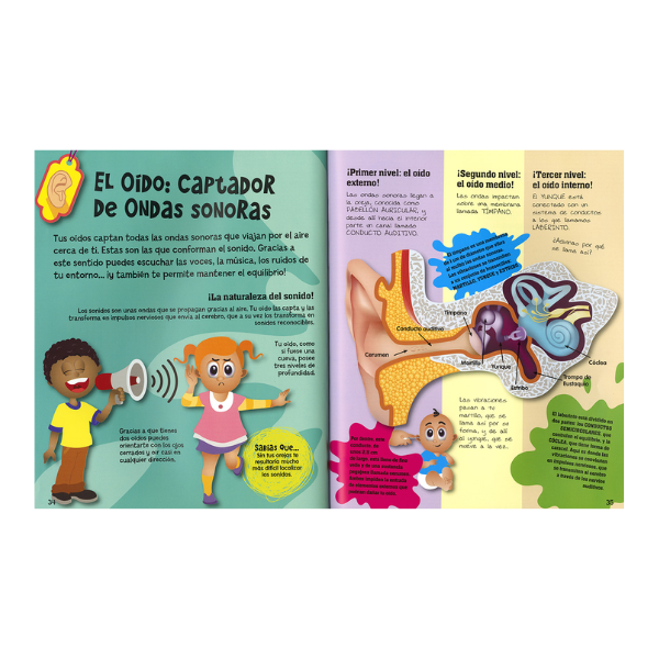 El cuerpo humano de la cabeza a los pies libro para niños 426843 - 2