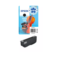 Epson 250 cartucho de tinta negro (original) 652084