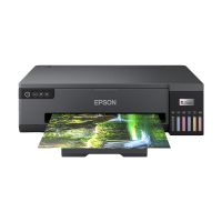 Epson EcoTank ET-18100 impresora fotográfica A3+ con WiFi C11CK38401 831898