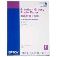Epson S042091 papel fotográfico Premium Glossy | 255 gramos | A2 | 25 hojas 153042