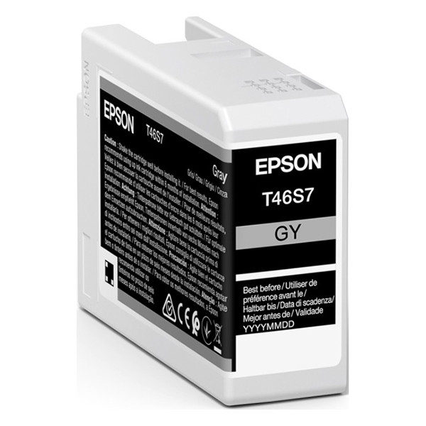Epson T46S7 cartucho gris (original) C13T46S700 083502 - 1