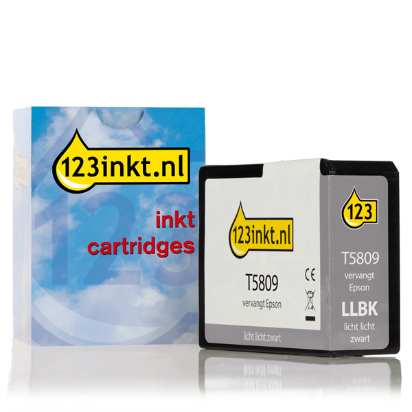 Epson T5809 cartucho de tinta gris claro (marca 123tinta) C13T580900C 025941 - 1
