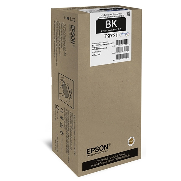 Epson T9731 cartucho de tinta negro XL (original) C13T973100 027042 - 1