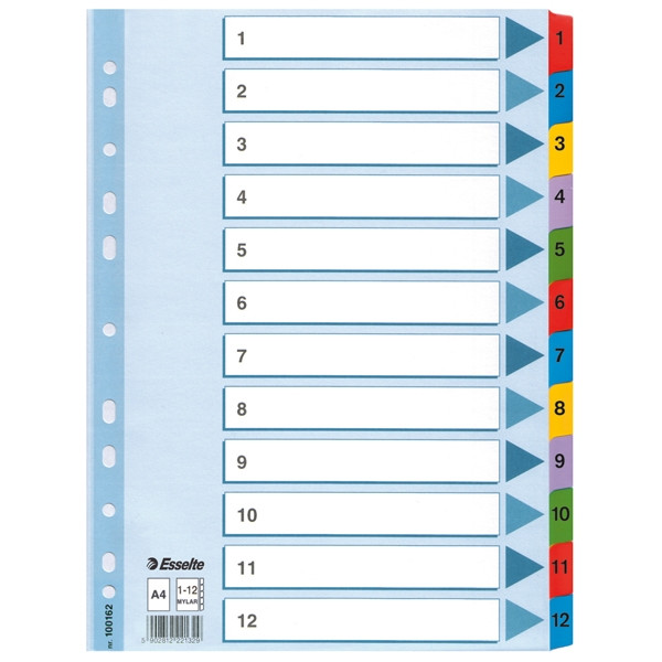 Esselte 100162 separadores de cartón A4 con 12 pestañas (11 agujeros) 100162 203836 - 1