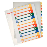 Esselte 100214 Índice de proyectos Imprimible A4 1-12 multicolor 426972