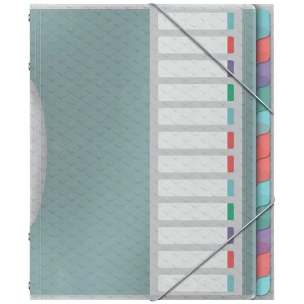 Esselte Carpeta clasificadora multicolor con 12 separadores 427179 - 1