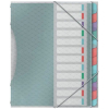 Esselte Carpeta clasificadora multicolor con 12 separadores 427179 - 1