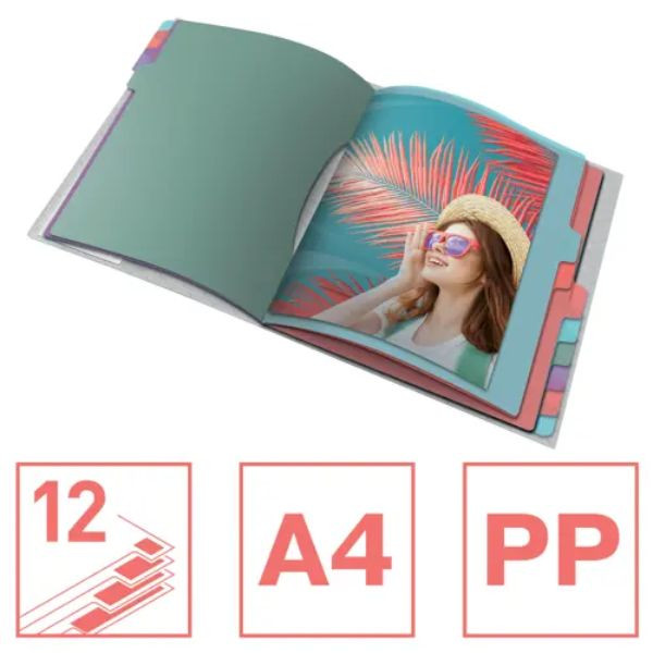 Esselte Carpeta clasificadora multicolor con 12 separadores 427179 - 2