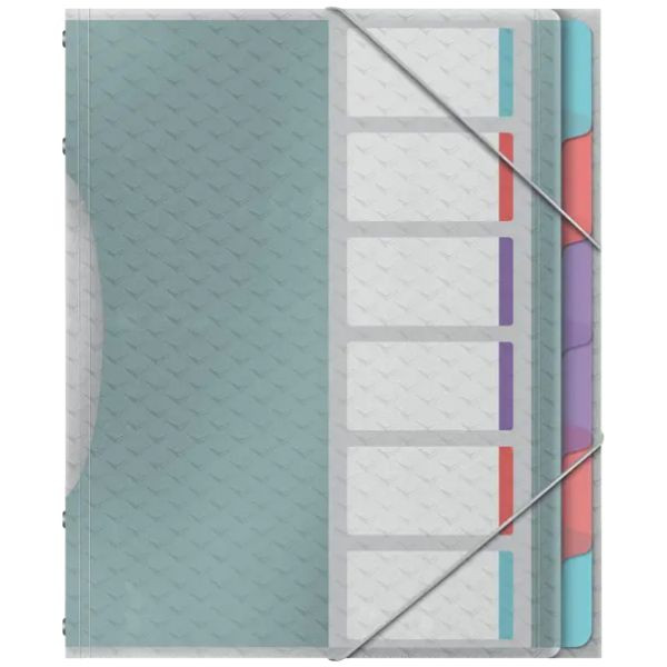 Esselte Carpeta clasificadora multicolor con 6 separadores 427178 - 1