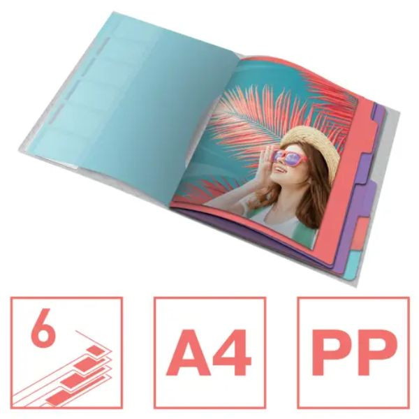 Esselte Carpeta clasificadora multicolor con 6 separadores 427178 - 2
