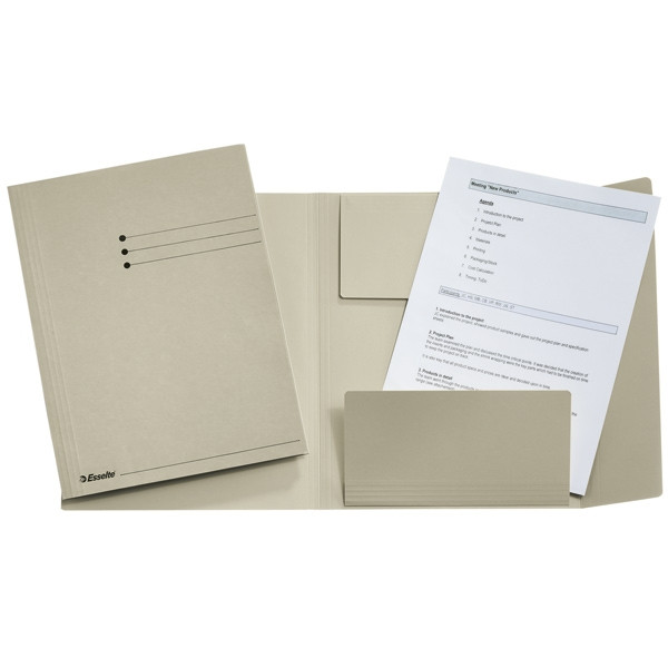 Esselte Carpeta de 3 solapas color gris A4 | 50 unidades 1033307 203572 - 1