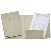 Esselte Carpeta de 3 solapas color gris A4 | 50 unidades 1033307 203572