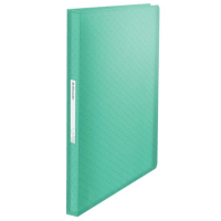 Esselte Carpeta de fundas A4 verde 80 fundas 427177