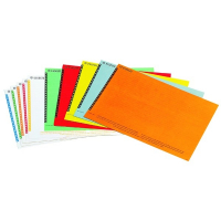Esselte Orgarex Tiras de jinete para carpetas colgantes verticales | 250 unidades 325800 203215