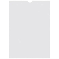 Esselte Portacarnets PVC transparente 190Q 231 x 330 mm (100uds) 427088