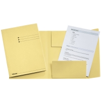 Esselte carpeta de cartón amarillo | tamaño folio | solapas | con líneas impresas | 50 unidades 1032306 203744