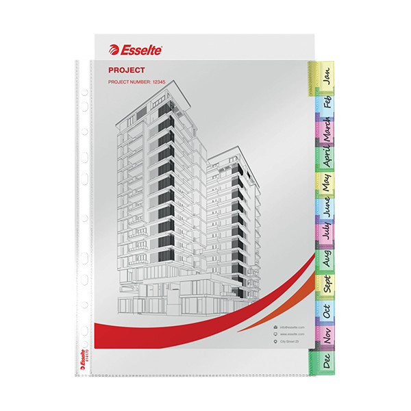 Esselte premium Fundas separadoras con 12 pestañas 414170 203229 - 3
