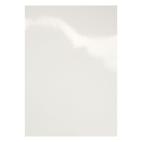 GBC CE020070 HiGloss Tapas de encuadernacion | 250 gr | blanco | 100 unidades CE020070 207434