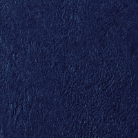 GBC CE040025 LeatherGrain Tapas de encuadernacion | 250 gr | azul marino | textura de piel | 100 unidades 207414