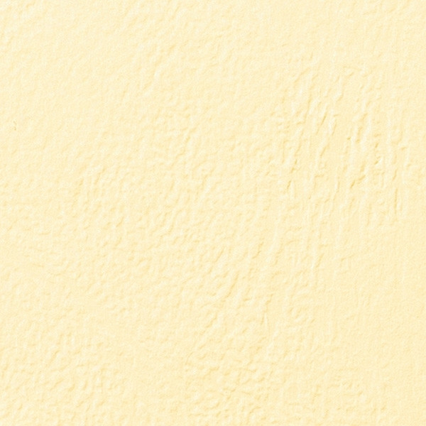 GBC CE040065 LeatherGrain Tapas de encuadernacion | 250 gr | marfil | textura de piel | 100 unidades