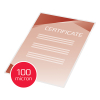 GBC Funda para laminar | adhesiva | A4 | brillante | 2x100 micras | 100 unidades 41666E 207046 - 3