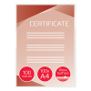 GBC fundas de laminacion de documentos | A4 | brillante | 2x100 micras | 100 unidades 3740306 207002 - 2