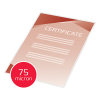 GBC fundas de laminacion de documentos | A4 | mate/brillante | 2x75 micras | 50 unidades 3747520 207616 - 4