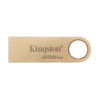 Kingston DataTraveler memoria USB 3.2  SE9 G3 metálica de 256 GB 255006