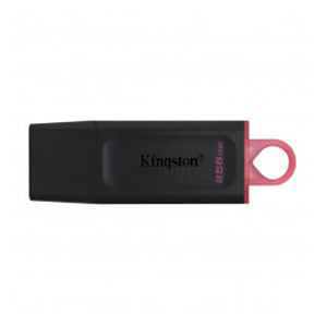 Kingston Memoria USB 256GB 3.2 Negro Kingston DTX/256GB 426175 - 1