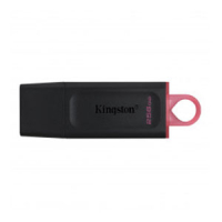 Kingston Memoria USB 256GB 3.2 Negro Kingston DTX/256GB 426175