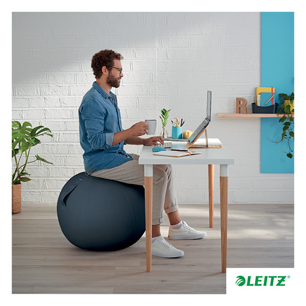 Leitz Balón Ergonómico de Asiento Leitz Ergo Cosy Active - Gris - 65 cm 52790089 227591 - 5