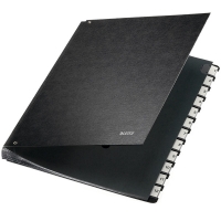 Leitz Carpeta clasificadora con 12 compartimentos pestañas 1-12 (A4) 58120095 202840