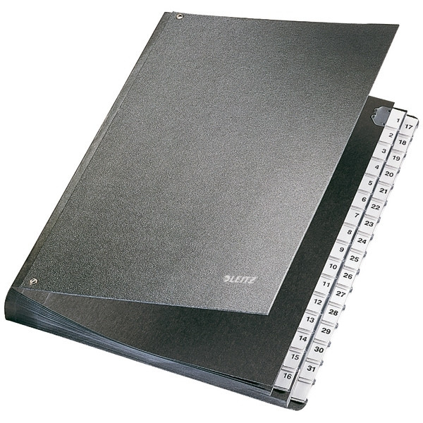 Leitz Carpeta clasificadora con 32 compartimentos pestañas 1-31 (A4)