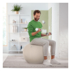 Leitz Ergo Bola de asiento activo gris claro 65 cm 227625 - 4