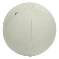 Leitz Ergo Bola de asiento activo gris claro 65 cm 227625