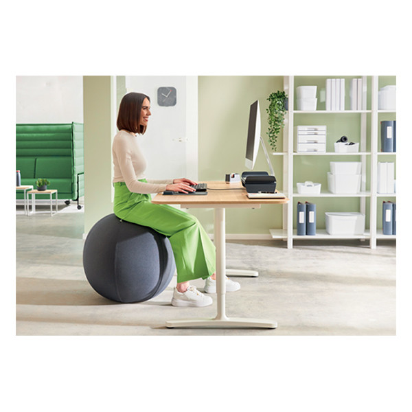 Leitz Ergo Bola de asiento activo gris oscuro 65 cm 227626 - 5