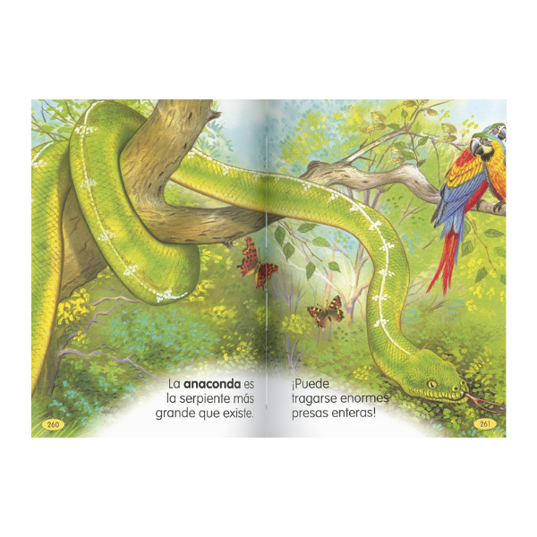 Mi libro de animales para antes de dormir libro para niños 426844 - 2