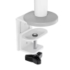 Neomounts Next Lite Brazo de monitor ahorrador de espacio para 2 monitores, blanco (con abrazadera y ojal) 204014 - 8