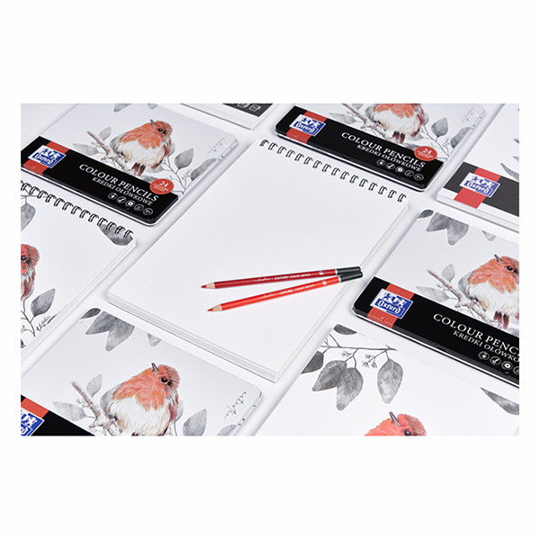 Oxford Drawing bloc de dibujo A4 160 gramos (40 hojas) 237639 - 5